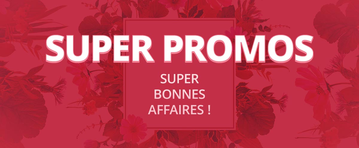 Accessoires Pratiques Maison Cuisine Et Jardin Maison Et Confort